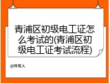 青浦区初级电工证怎么考试的(青浦区初级电工证考试流程)