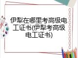 伊犁在哪里考高级电工证书(伊犁考高级电工证书)
