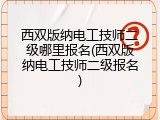 西双版纳电工技师二级哪里报名(西双版纳电工技师二级报名)