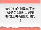 大兴安岭中级电工补贴多久到账(大兴安岭电工补贴到账时间)