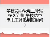 攀枝花中级电工补贴多久到账(攀枝花中级电工补贴到账时间)