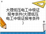 大理低压电工中级证报考条件(大理低压电工中级证报考条件)