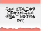 马鞍山低压电工中级证报考条件(马鞍山低压电工中级证报考条件)