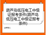 葫芦岛低压电工中级证报考条件(葫芦岛低压电工中级证报考条件)
