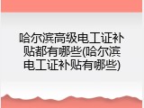 哈尔滨高级电工证补贴都有哪些(哈尔滨电工证补贴有哪些)