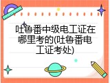 吐鲁番中级电工证在哪里考的(吐鲁番电工证考处)