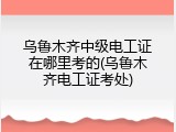 乌鲁木齐中级电工证在哪里考的(乌鲁木齐电工证考处)