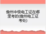儋州中级电工证在哪里考的(儋州电工证考处)