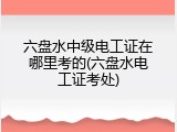 六盘水中级电工证在哪里考的(六盘水电工证考处)
