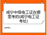 咸宁中级电工证在哪里考的(咸宁电工证考处)