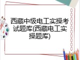 西藏中级电工实操考试题库(西藏电工实操题库)