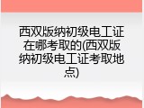 西双版纳初级电工证在哪考取的(西双版纳初级电工证考取地点)