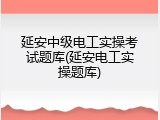 延安中级电工实操考试题库(延安电工实操题库)