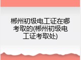 郴州初级电工证在哪考取的(郴州初级电工证考取处)
