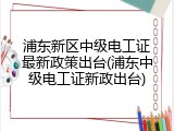 浦东新区中级电工证最新政策出台(浦东中级电工证新政出台)