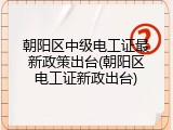 朝阳区中级电工证最新政策出台(朝阳区电工证新政出台)