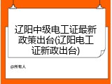 辽阳中级电工证最新政策出台(辽阳电工证新政出台)