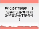 呼和浩特高级电工证需要什么条件(呼和浩特高级电工证条件)