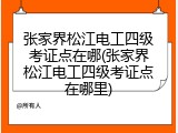 张家界松江电工四级考证点在哪(张家界松江电工四级考证点在哪里)
