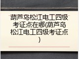 葫芦岛松江电工四级考证点在哪(葫芦岛松江电工四级考证点)