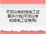平顶山考初级电工证要多少钱(平顶山考初级电工证费用)
