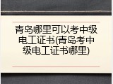 青岛哪里可以考中级电工证书(青岛考中级电工证书哪里)