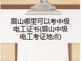 眉山哪里可以考中级电工证书(眉山中级电工考证地点)