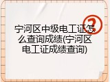 宁河区中级电工证怎么查询成绩(宁河区电工证成绩查询)