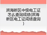 滨海新区中级电工证怎么查询成绩(滨海新区电工证成绩查询)