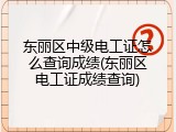 东丽区中级电工证怎么查询成绩(东丽区电工证成绩查询)