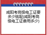 咸阳考高级电工证要多少钱呢(咸阳考高级电工证费用多少)