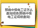 那曲中级电工证怎么查询成绩(那曲中级电工证成绩查询)