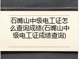 石嘴山中级电工证怎么查询成绩(石嘴山中级电工证成绩查询)