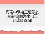 海南中级电工证怎么查询成绩(海南电工证成绩查询)