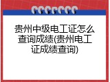 贵州中级电工证怎么查询成绩(贵州电工证成绩查询)
