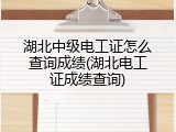 湖北中级电工证怎么查询成绩(湖北电工证成绩查询)