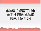 博尔塔拉哪里可以考电工技师证(博尔塔拉电工证考处)
