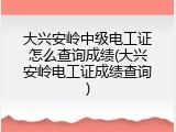 大兴安岭中级电工证怎么查询成绩(大兴安岭电工证成绩查询)