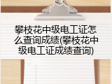 攀枝花中级电工证怎么查询成绩(攀枝花中级电工证成绩查询)