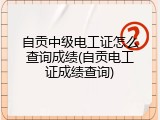 自贡中级电工证怎么查询成绩(自贡电工证成绩查询)
