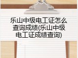 乐山中级电工证怎么查询成绩(乐山中级电工证成绩查询)