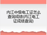 内江中级电工证怎么查询成绩(内江电工证成绩查询)