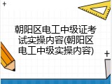 朝阳区电工中级证考试实操内容(朝阳区电工中级实操内容)