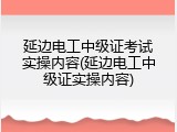 延边电工中级证考试实操内容(延边电工中级证实操内容)