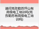 请问克孜勒苏坪山有高级电工培训吗(克孜勒苏有高级电工培训吗)