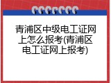 青浦区中级电工证网上怎么报考(青浦区电工证网上报考)