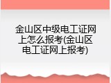 金山区中级电工证网上怎么报考(金山区电工证网上报考)