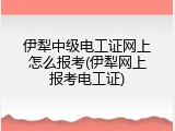 伊犁中级电工证网上怎么报考(伊犁网上报考电工证)
