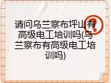 请问乌兰察布坪山有高级电工培训吗(乌兰察布有高级电工培训吗)