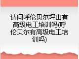 请问呼伦贝尔坪山有高级电工培训吗(呼伦贝尔有高级电工培训吗)